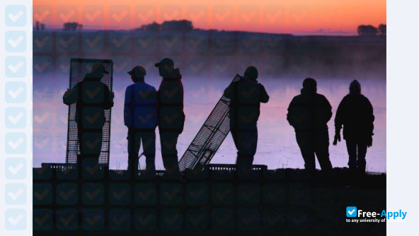 Dakota College at Bottineau photo #6