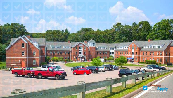 Foto de la Curry College #2