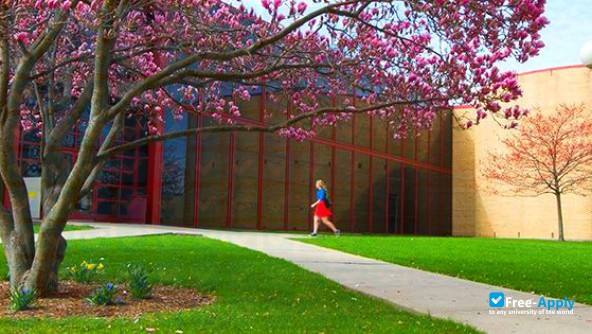 Concordia University Chicago photo #5