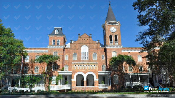 College converse store
