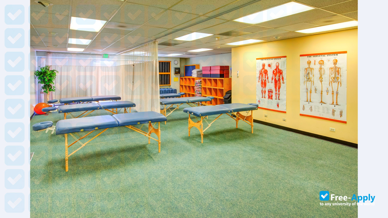 Colorado School of Healing Arts photo #2