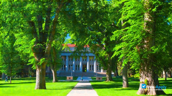 Colorado State University photo #8