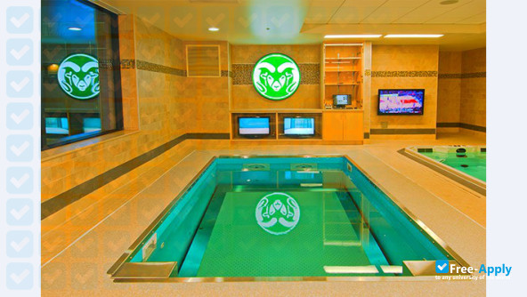 Colorado State University photo #3