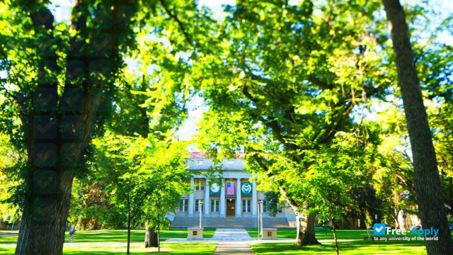 Colorado State University photo #1