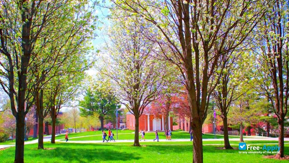 Cornell College photo #2