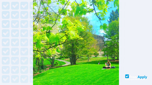 Photo de l’Cornell University #11