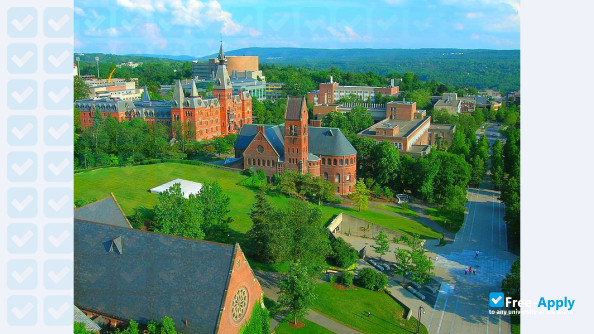 Cornell University фотография №12