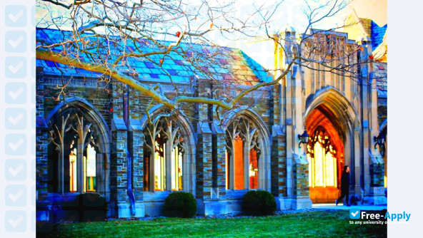 Photo de l’Cornell University #6