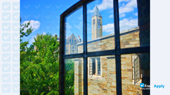 Photo de l’Cornell University #15