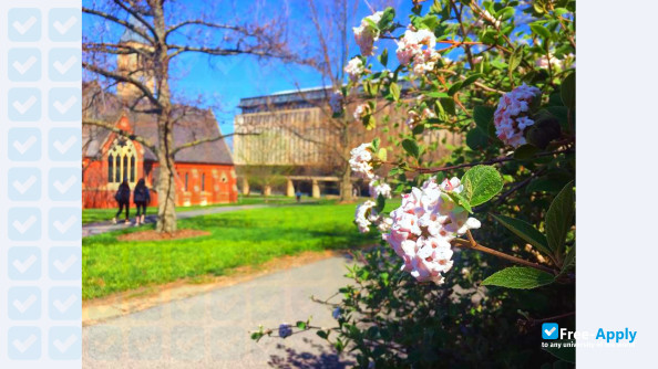 Photo de l’Cornell University #12