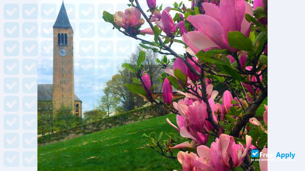 Photo de l’Cornell University #17