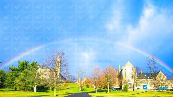 Foto de la Cornell University #12
