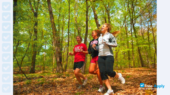 College of Saint Benedict and Saint John's University фотография №15