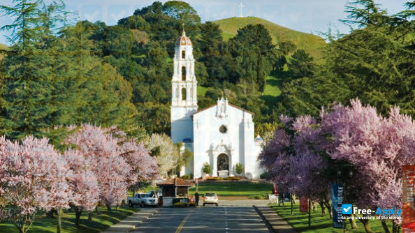 College of Saint Mary photo #20