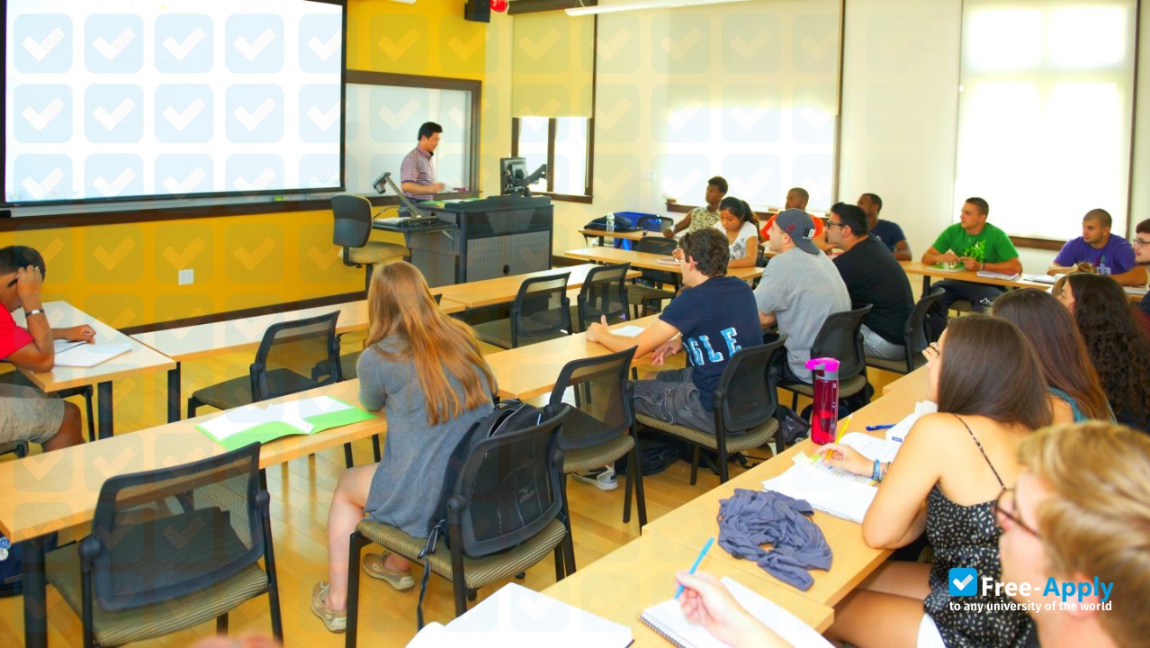 College of Saint Rose photo #15