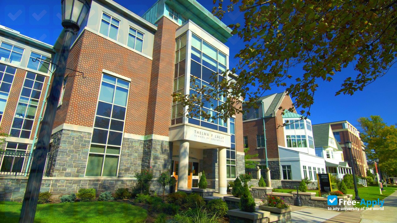 College of Saint Rose photo #16