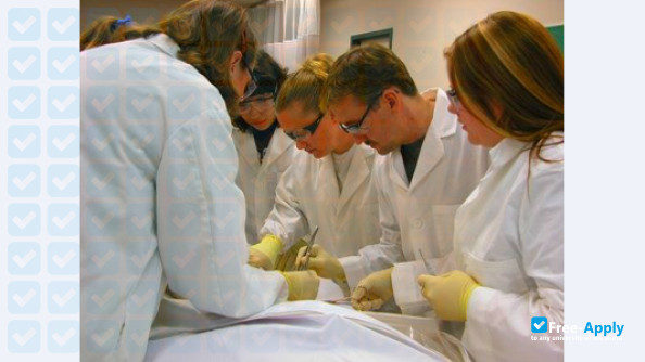 Photo de l’Commonwealth Institute of Funeral Service #3