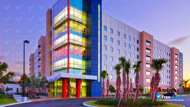 Florida Atlantic University photo #1