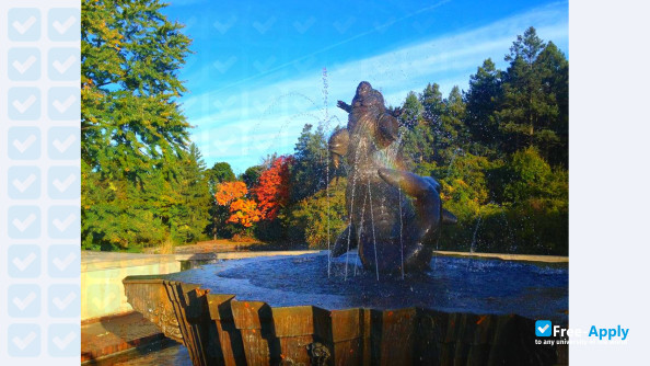 Foto de la Cranbrook Academy of Art #9