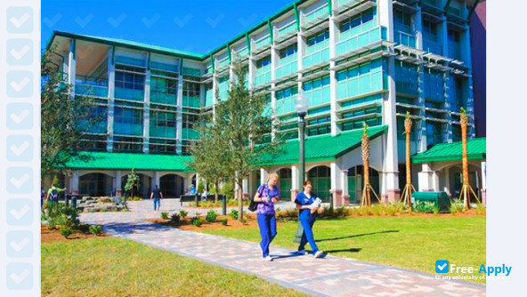 Photo de l’Florida Gulf Coast University #6