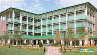 Florida Gulf Coast University миниатюра №2