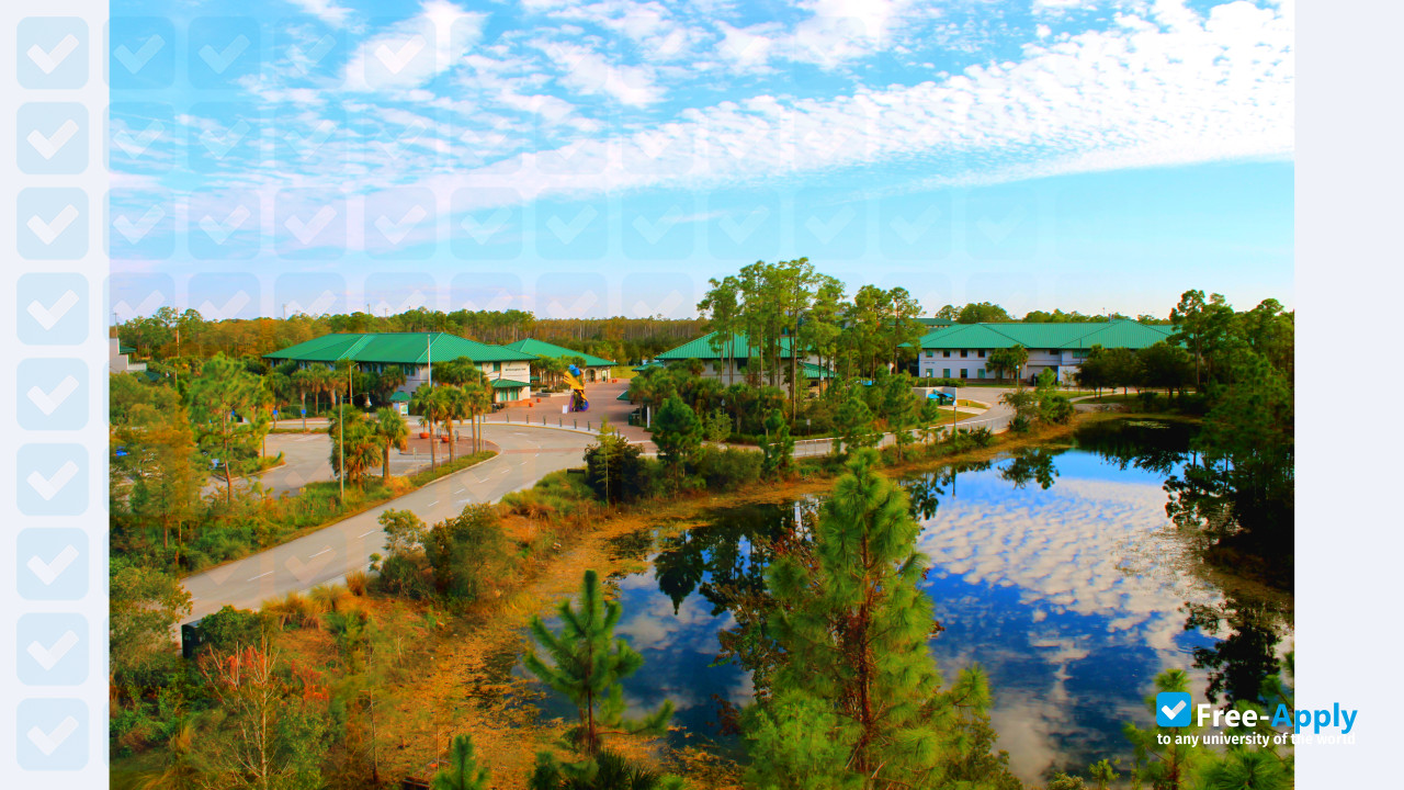 Florida Gulf Coast University фотография №6