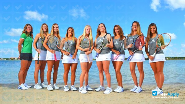 Florida Gulf Coast University photo #3