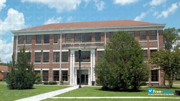 Edward Waters College photo #8