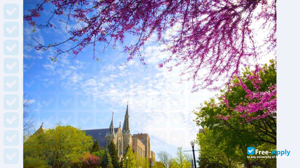 Creighton University фотография №7