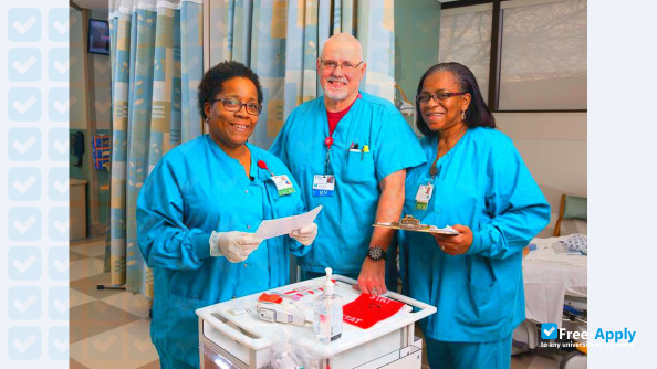 Ellis School of Nursing photo #4