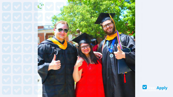 Elmhurst University photo #13