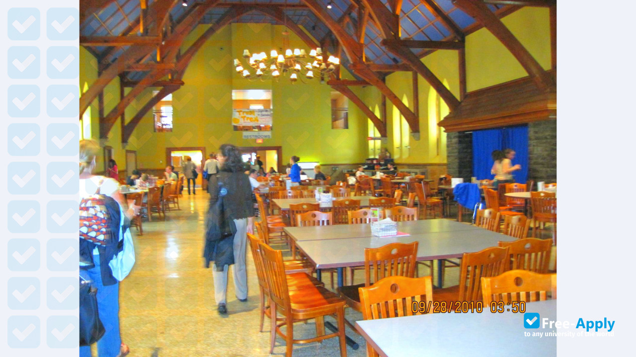 Hamilton College photo #7