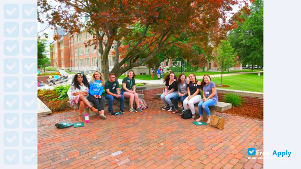 Elms College photo #5