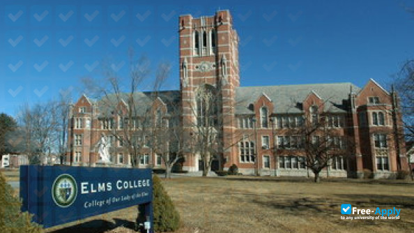 Elms College photo #6