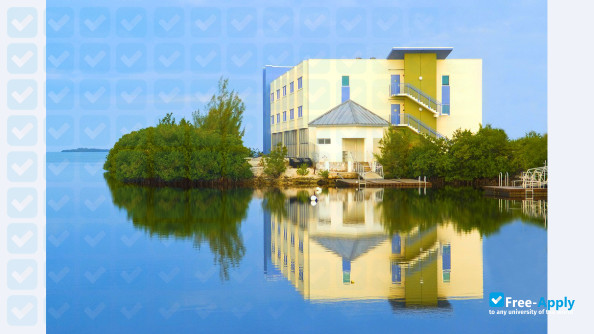 Florida Keys Community College photo #1