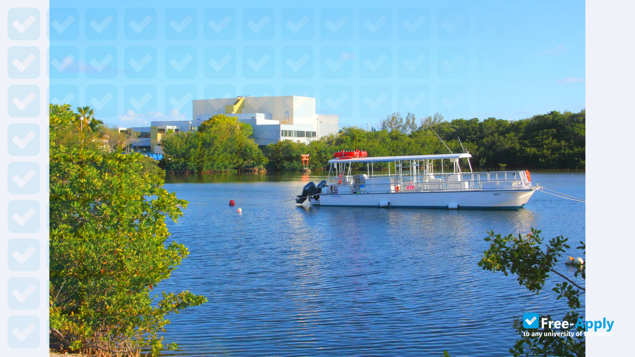 Florida Keys Community College photo #3