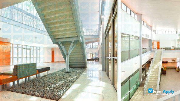 Florida SouthWestern State College photo #8