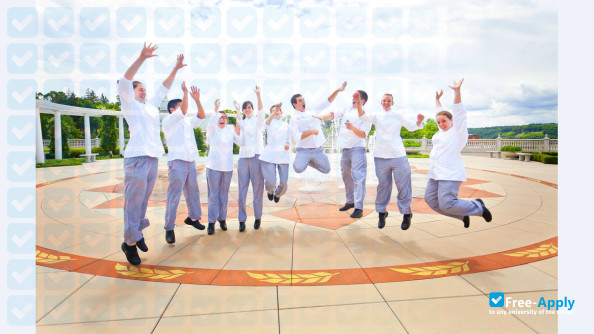 The Culinary Institute of America photo #2