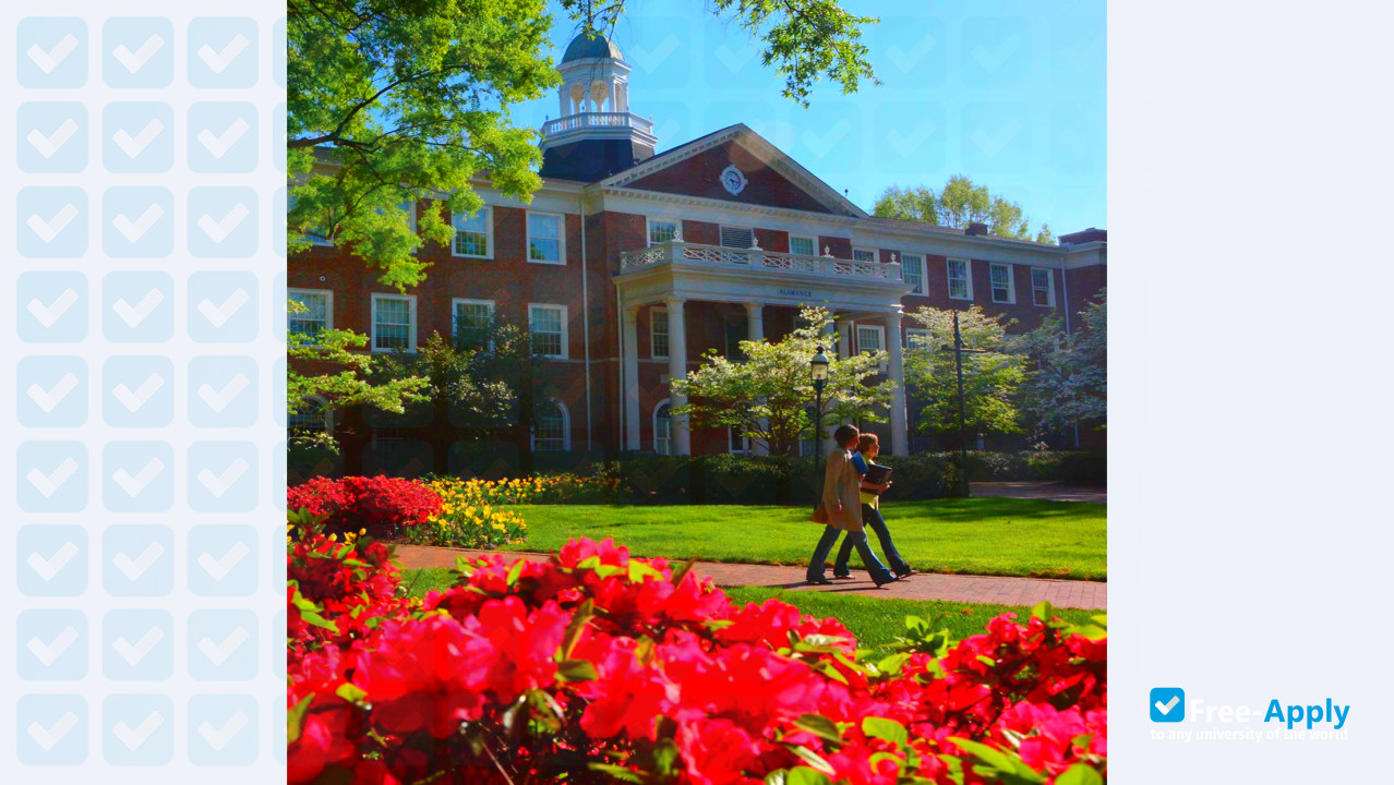 Photo de l’Elon University #9