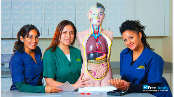 Florida Technical College photo #3