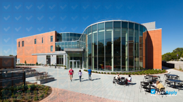 Hamline University фотография №7