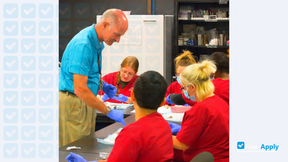 Intellitec College photo #7
