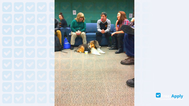 Inver Hills Community College photo #1