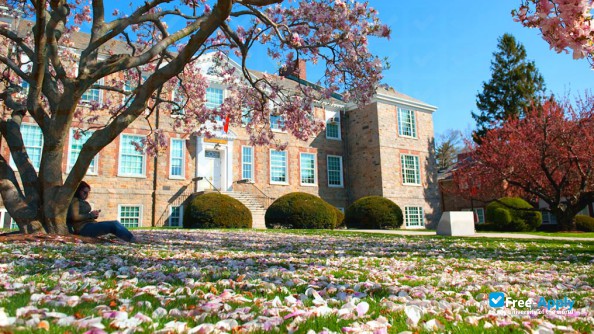 Photo de l’Iona College #5