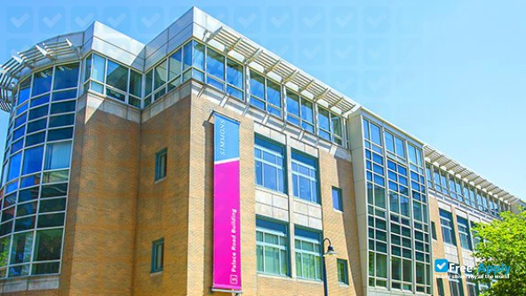 Фотография Institute for Clinical Social Work