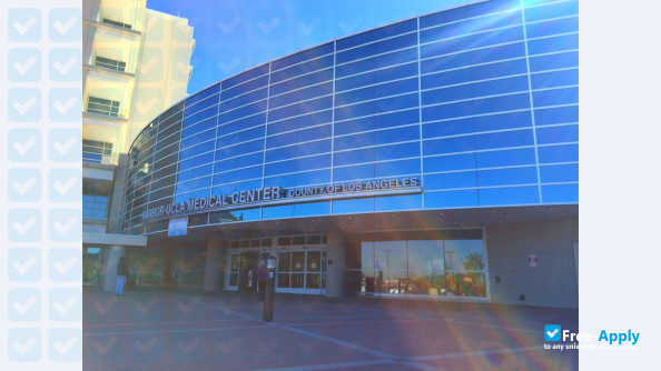 Harbor UCLA Medical Center photo #3