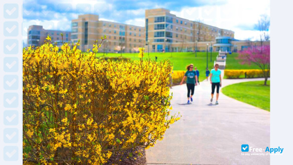 James Madison University photo #16