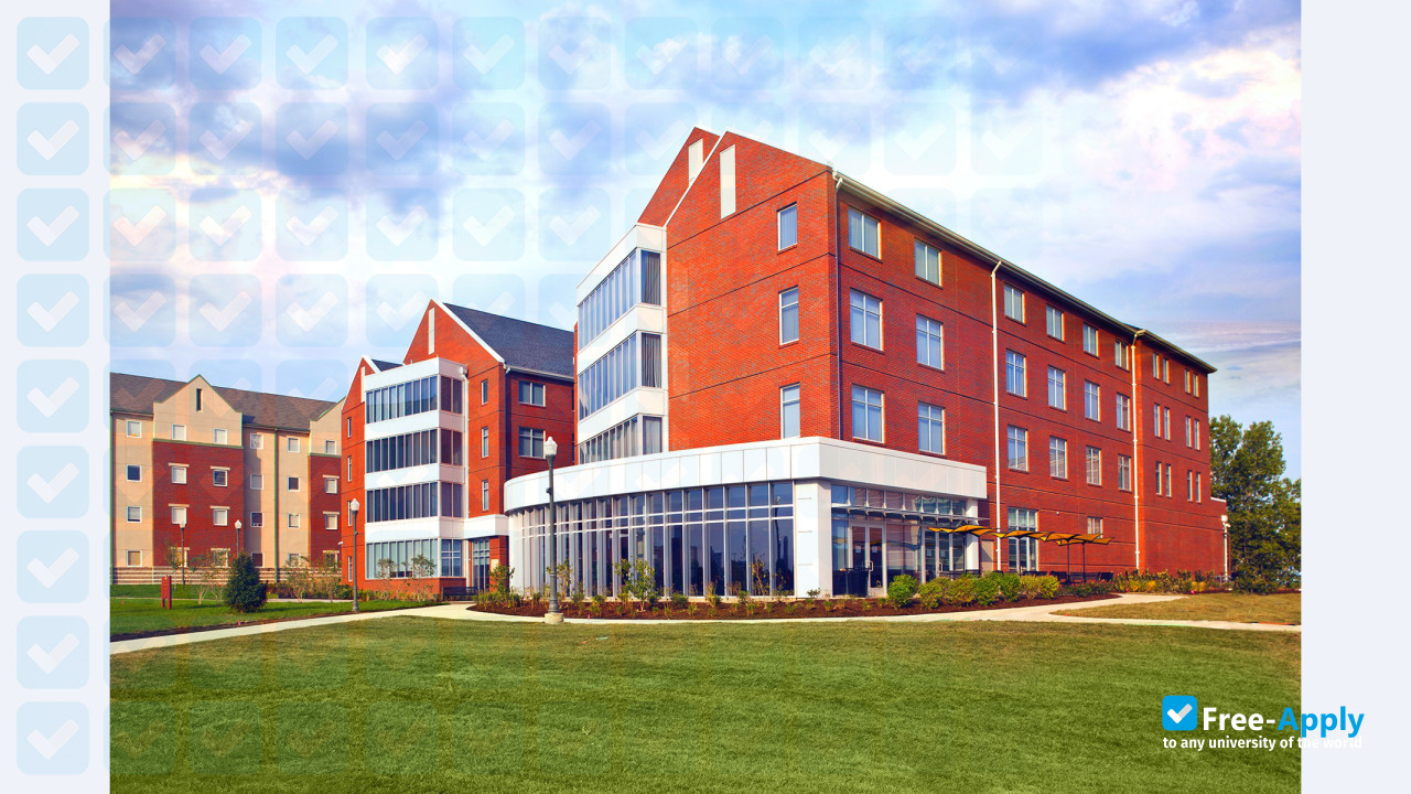 Harris-Stowe State University photo #9