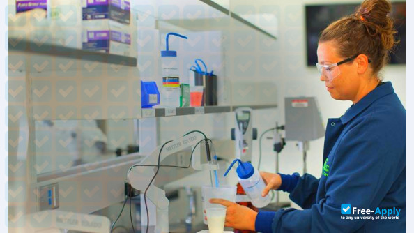 Institute of Business and Medical Careers photo