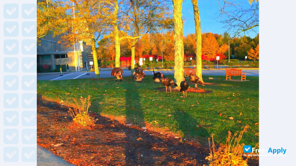 Foto de la Community College of Rhode Island #1